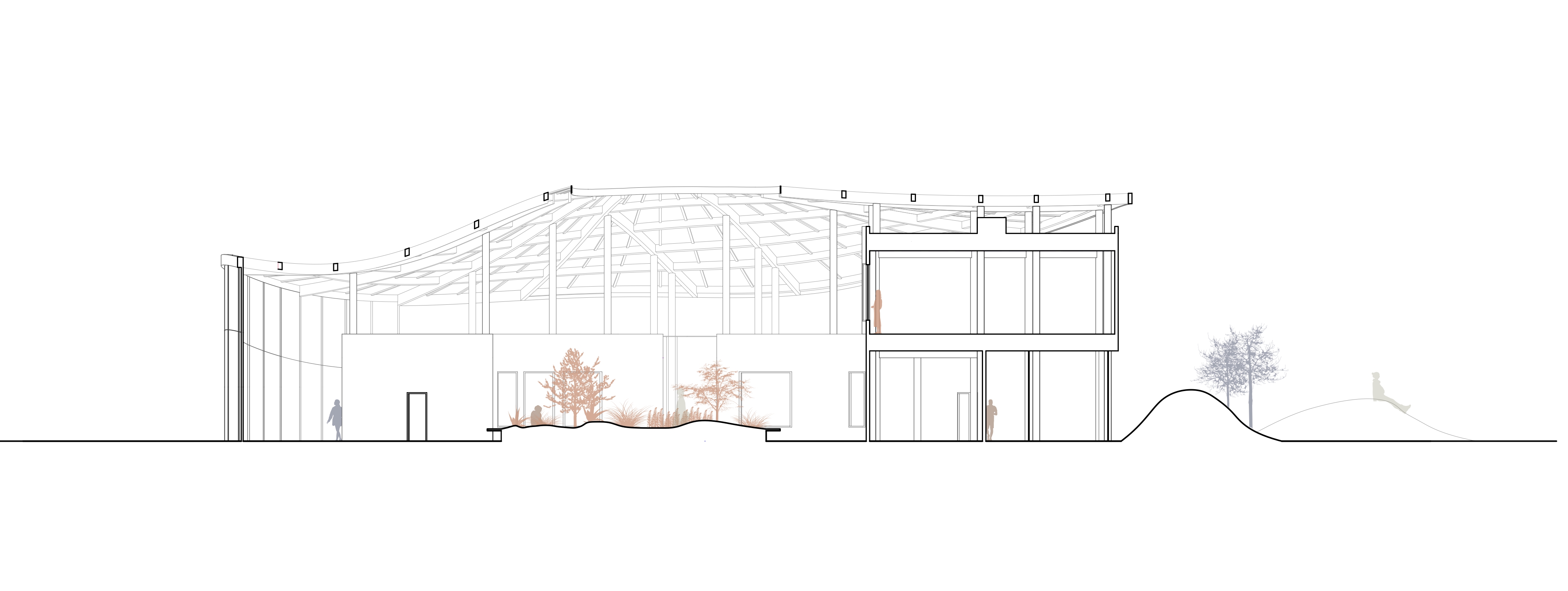 Building section elevation